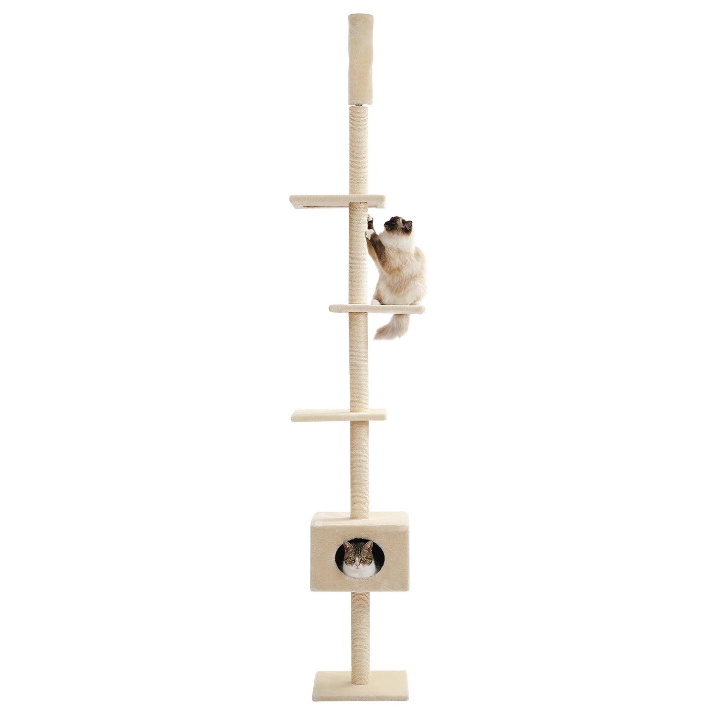 PAWZ Road Adjustable Cat Tree Condo Scratching Post, 238-274cm Floor-to-Ceiling Cat Furniture Protector