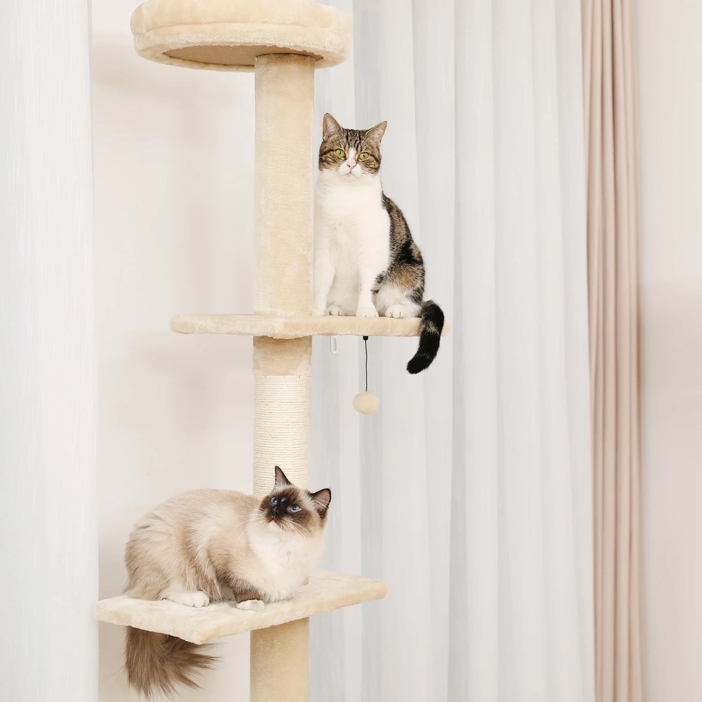 PAWZ Road Adjustable Cat Tree Condo Scratching Post, 238-274cm Floor-to-Ceiling Cat Furniture Protector