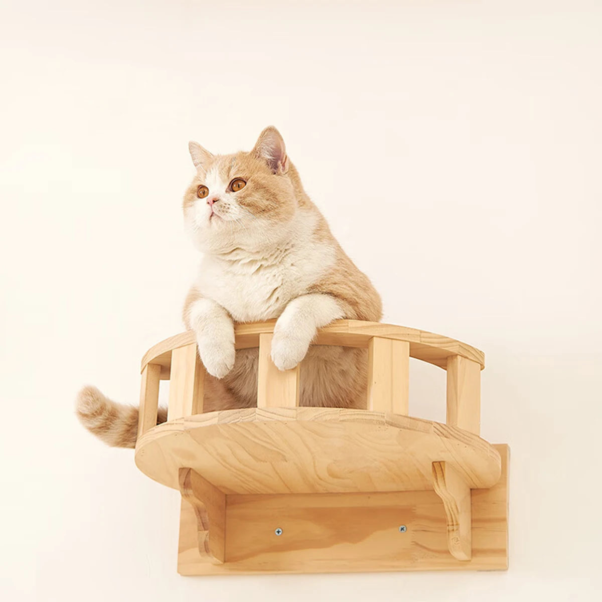 Wall Mounted Wooden Cat Shelves & Climbing Tree – Four Step Stair Kitten Furniture with Hammock