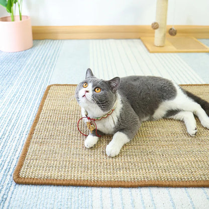 Premium Cat Scratch Guard Mat - Furniture Protector with Hook & Loop Fastener for Sofas, Cat Trees, and More