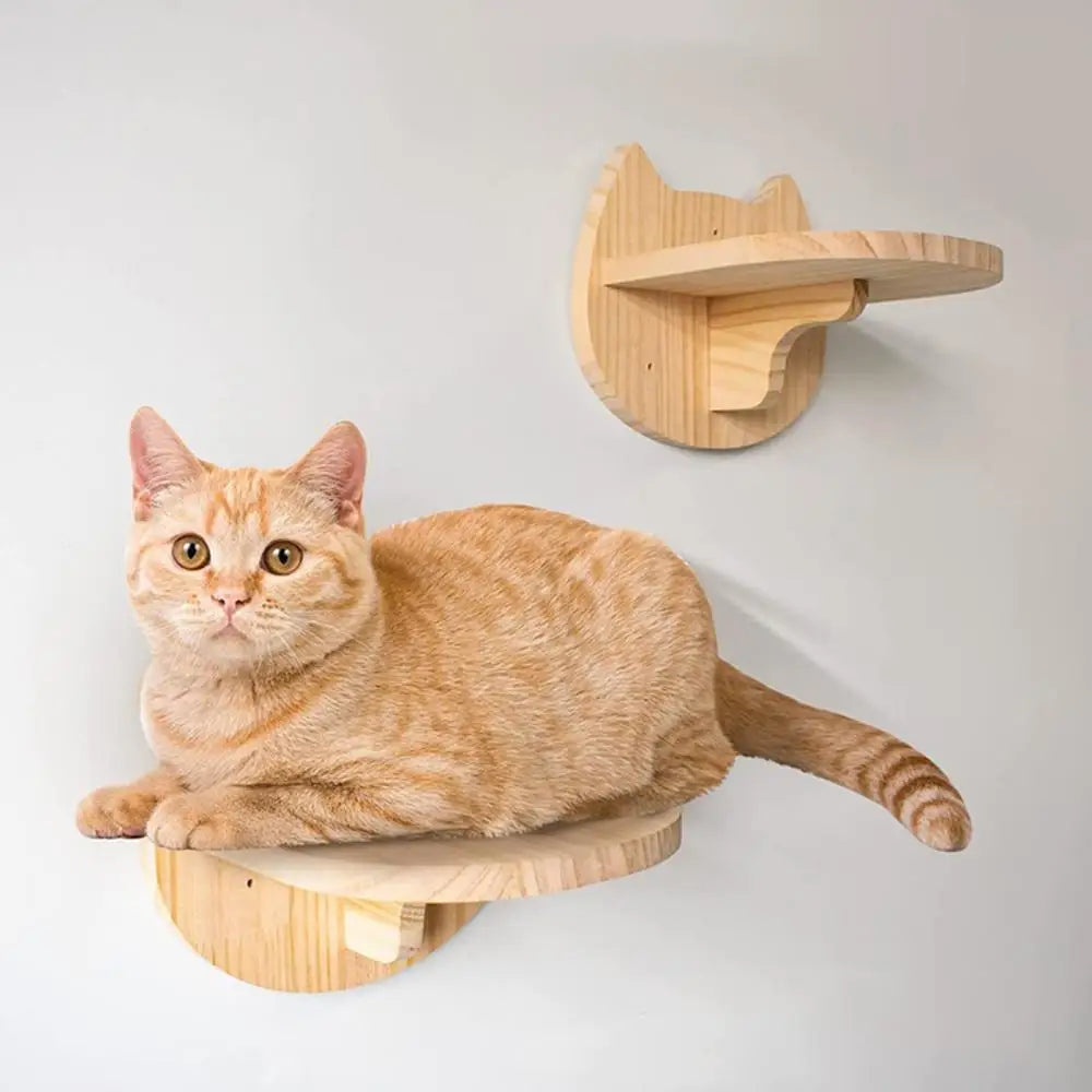 Wall-Mounted Cat Climbing Hammock & Scratching Post - Wooden Furniture Ladder for Cats to Sleep & Play