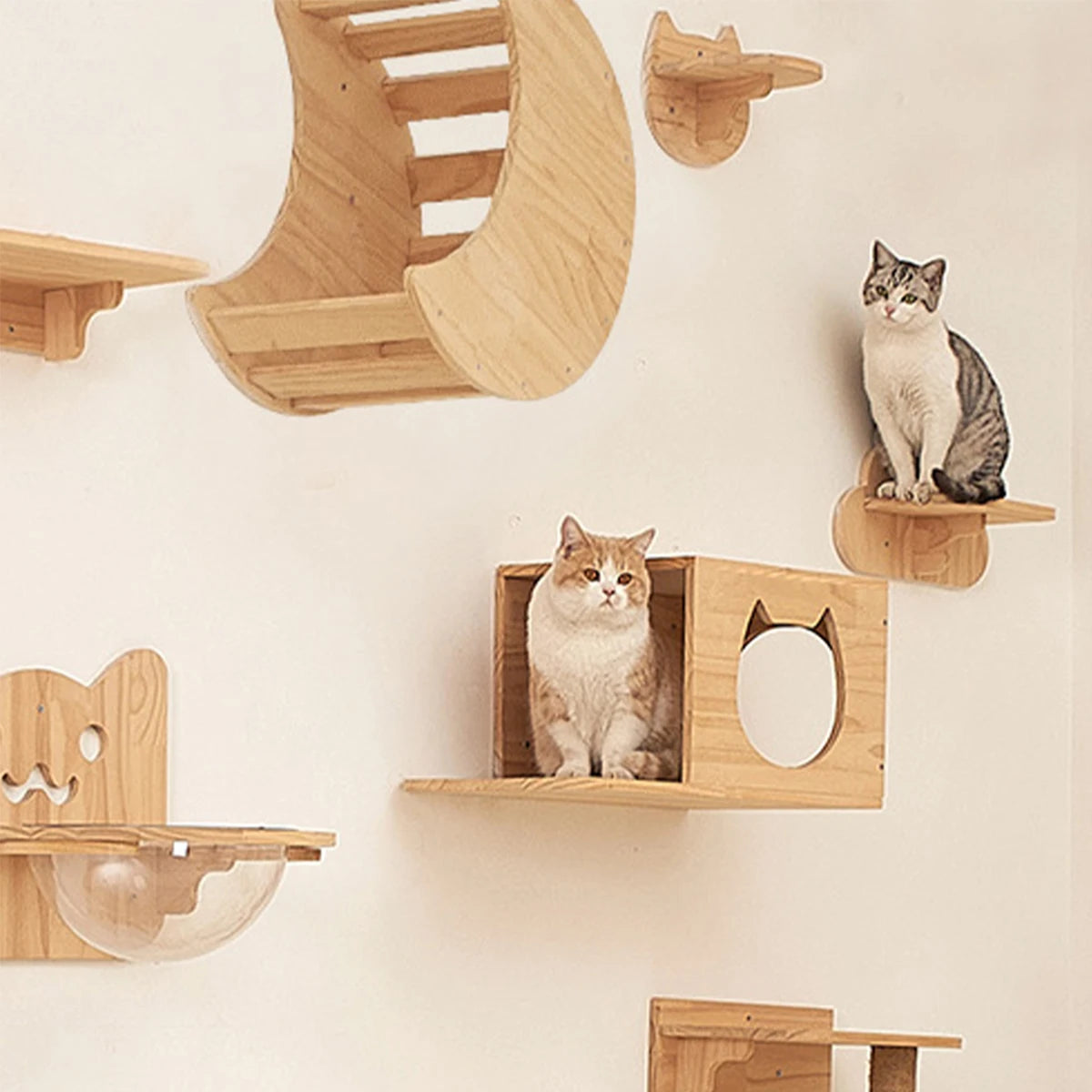 Wall Mounted Wooden Cat Shelves & Climbing Tree – Four Step Stair Kitten Furniture with Hammock