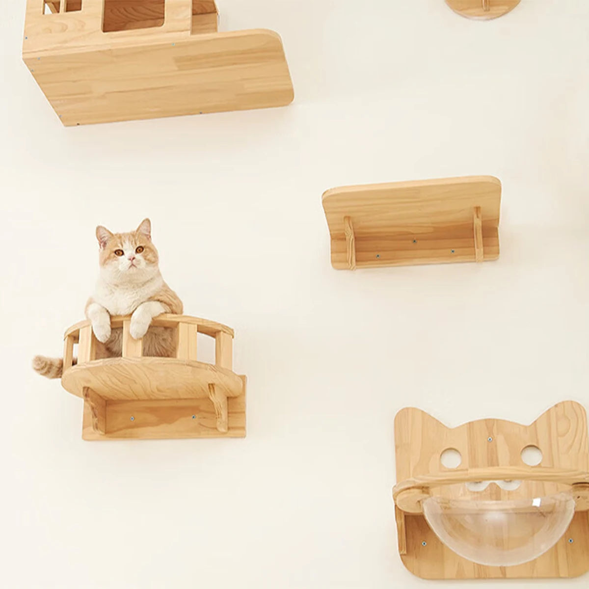 Wall Mounted Wooden Cat Shelves & Climbing Tree – Four Step Stair Kitten Furniture with Hammock